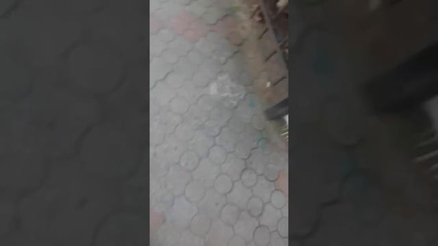 Выживание на 30 рублей!!! смотреть онлайн