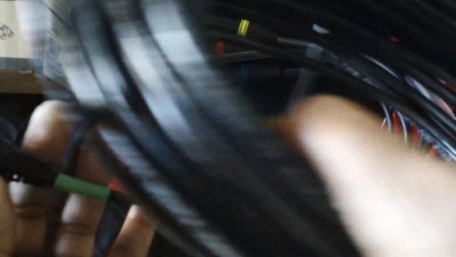 Thomann Sssnake Cat Snake Alt. links in description смотреть онлайн