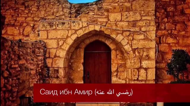 саид ибн амир смотреть онлайн