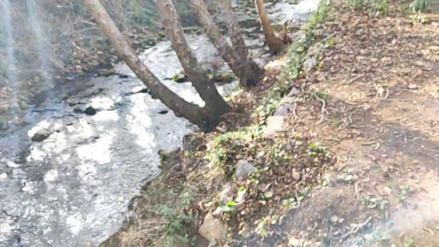 Рыболовный маршрут есть, а как на нем ловить? смотреть онлайн