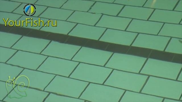 Воблер Kosadaka Goru смотреть онлайн