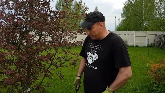 БОРЬБА С КРОТАМИ И ЗЕМЛЕРОЙКАМИ НА ДАЧЕ. Продолжение. смотреть онлайн