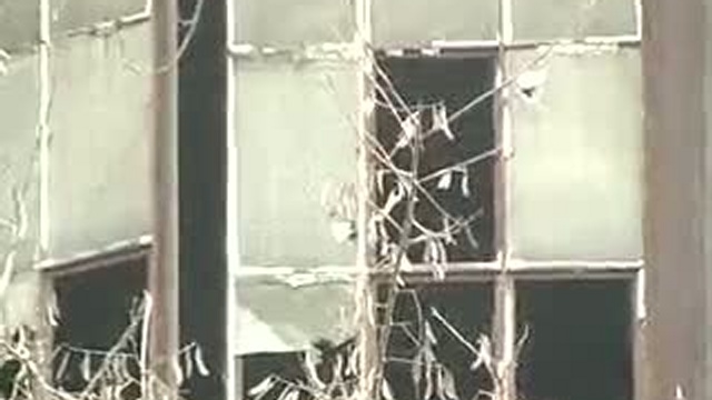 Одесский дневник 15-04-03 смотреть онлайн