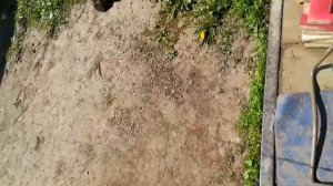 фидеры ШИМАНО И МИКАДО.