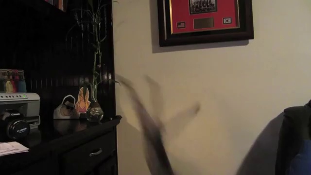 Неудачный прыжок смешного котенка смотреть онлайн