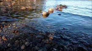 Земля - моё тело, Вода - моя кровь, Воздух - дыхание, Огонь - мой дух