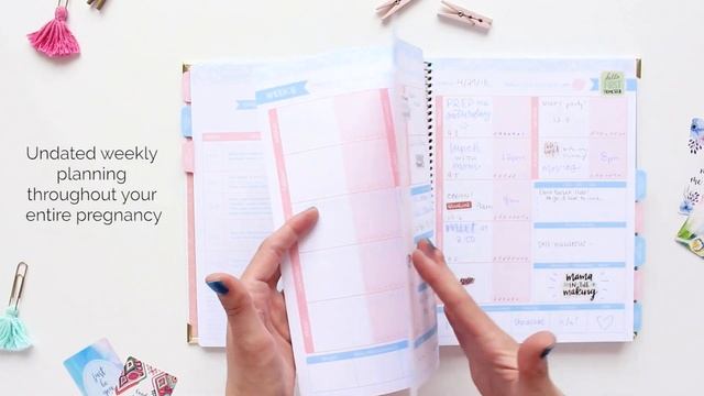 bloom daily planners® - Pregnancy and Baby's First Year Planner Walkthrough смотреть онлайн