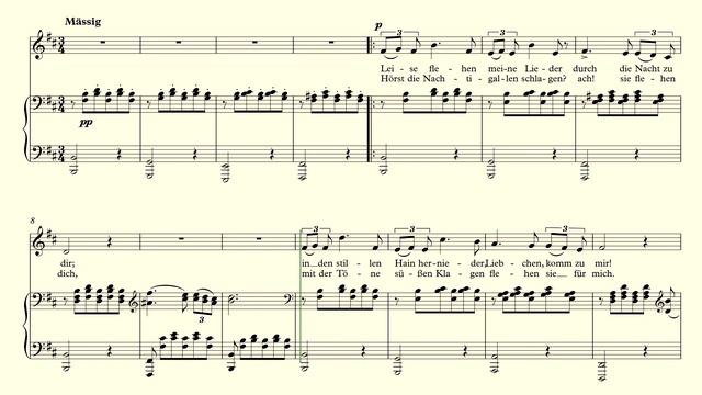Ständchen - Schubert - accompaniment B minor - Ständchen accompaniment B minor смотреть онлайн