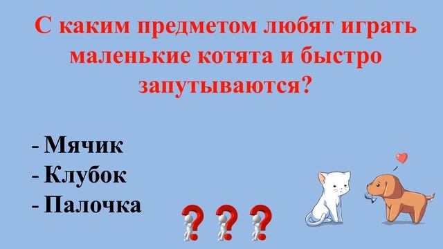 30 ноября День защиты домашних животных смотреть онлайн