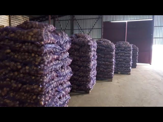 ПАЛ 20 -ровная укладка мешков на паллеты смотреть онлайн