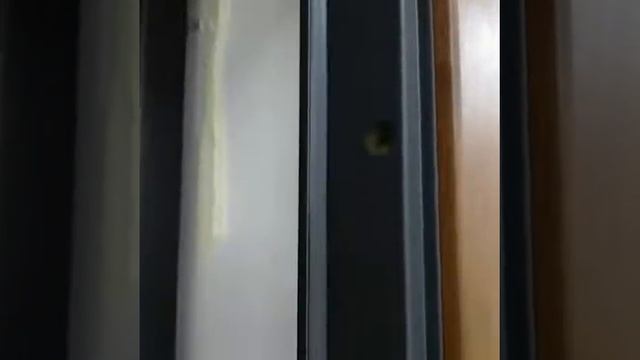 Входные и межкомнатные двери.Видео обзор в Анапе входная дверь Эстет смотреть онлайн