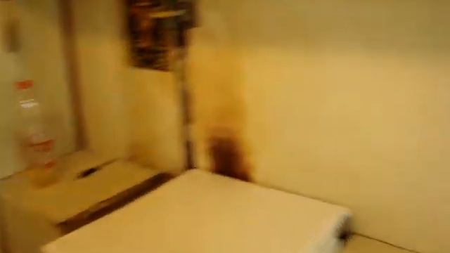 MOV02250 смотреть онлайн