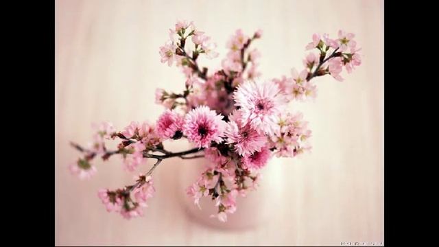 С Днем Рождения мама, Антон и Ксюшка! смотреть онлайн
