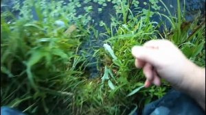 Обзор спиннинга MAXIMUS POINTER тревел.