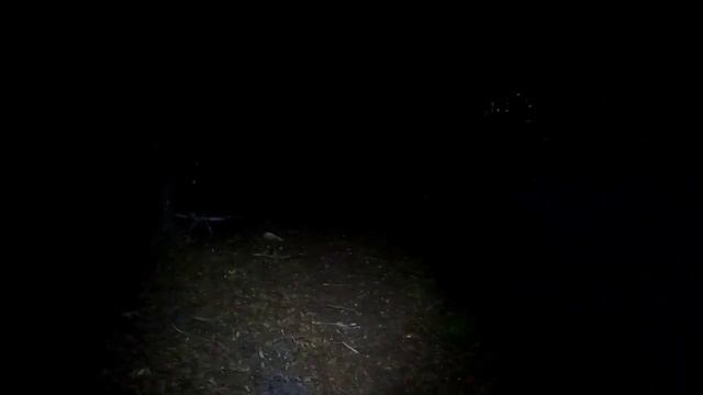 PART 2 PROTECTING OUR PROPERTY... He Set It On FIRE ... $1,000 CASH REWARD FOR CAPTURE смотреть онлайн