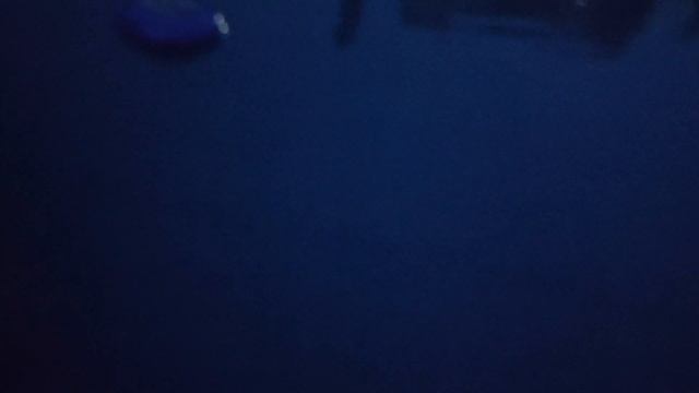 как чистить каркасный бассейн? Что такое скиммер для бассейна?