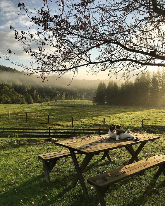Близок локоть… А нога далеко.