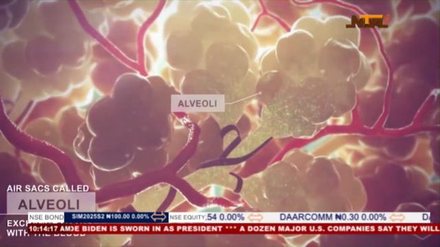 Your Health in Your Hands |12th Jan 2021| NTA смотреть онлайн