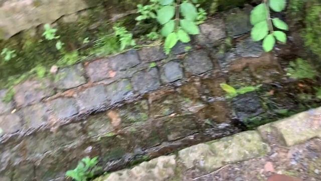 ?ГУЛЯЕМ С 8 УТРА, ПОТЕРЯЛИ РЮКЗАК, ВЕЧЕР В КРУГУ СЕМЬИ ? смотреть онлайн