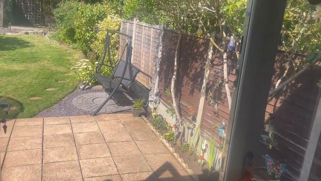 Bahijan agaya party is on zaberdast summer holidays raha bachoo tu bhut khush huway||dubai say aye… смотреть онлайн