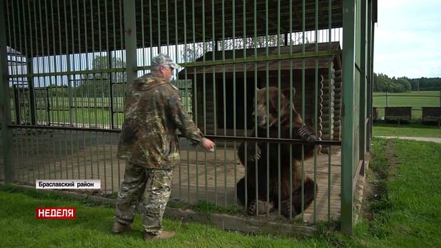 Браславский край телезвезда! смотреть онлайн