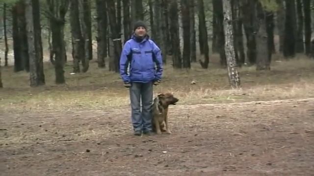 Тяжело в учении - легко в бою смотреть онлайн