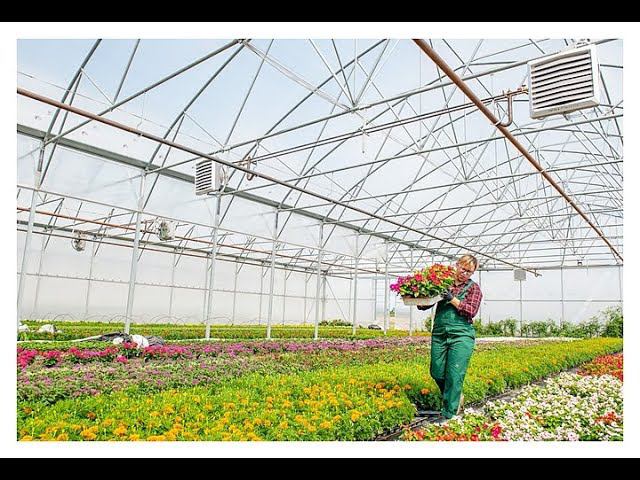 Отвечаю на вопрос что такое Volcano VR .