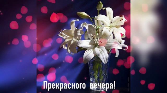ДОБРЫЙ ВЕЧЕР смотреть онлайн