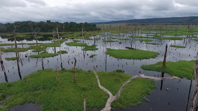 Рыба, которая любит погромче: ловля траиры в Бразилии смотреть онлайн