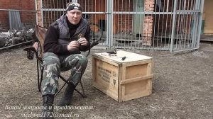 обработка собак от клещей и блох.