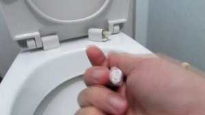 Ремонт сиденья унитаза с микролифтом (использован 3D принтер)