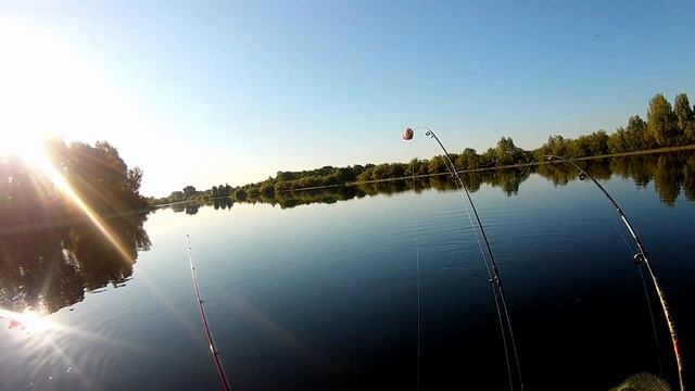 Ловля трофейных лещей с лодки на "Яйца" и "Фидеры". Какая снасть уловистей? смотреть онлайн