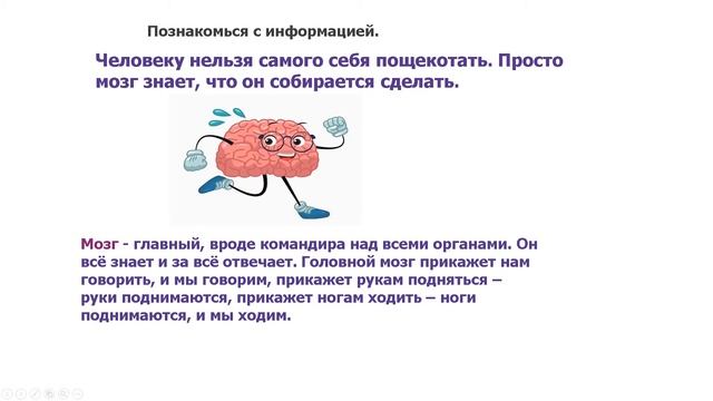 Русский язык и литература 2 класс. Тема урока: Удивительные факты о теле человека смотреть онлайн