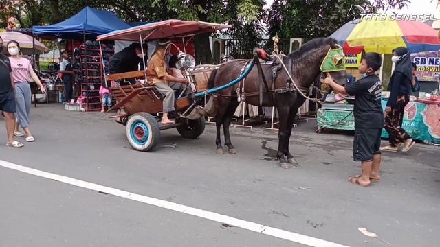 Risa Healing Naik Kuda Dokar Purwokerto ~ Azha Naik Delman Lagu HEY TAYO ~ kuda delman ~ kuda ~hors смотреть онлайн