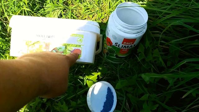 НАДІЙНИЙ і ПЕРЕВІРЕНИЙ МЕТОД БОРОТЬБИ з СЛИМАКАМИ/// ЯК НА 100% ПОЗБУТИСЯ СЛИМАКІВ@Dacha_Sad_Gorod смотреть онлайн