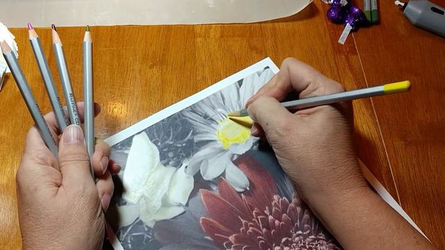 Gerbera and Snapdragon Color Along - Part 5 смотреть онлайн