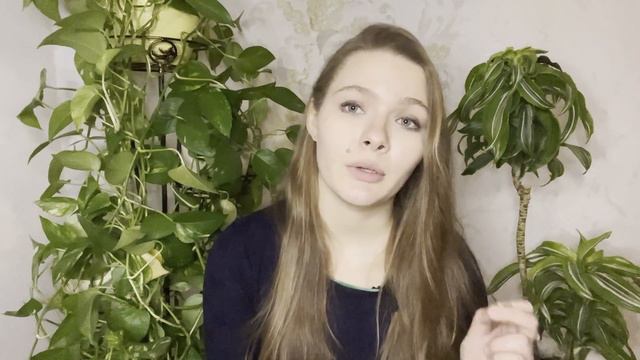 Как я машину выбирала | КАК ВЫБИРАТЬ АВТОМОБИЛЬ | критерии, советы, список вопросов смотреть онлайн