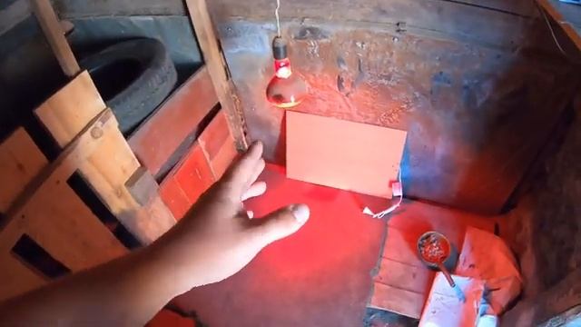 Инфракрасный обогреватель Баган РЭН-4 (250 Вт) смотреть онлайн