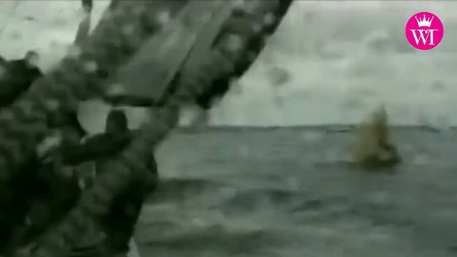 America's Cup 2021: vela o Formula1? смотреть онлайн