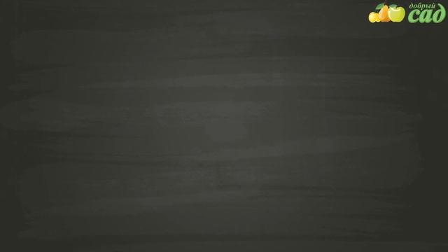 Посадка абрикоса - как правильно посадить абрикос смотреть онлайн