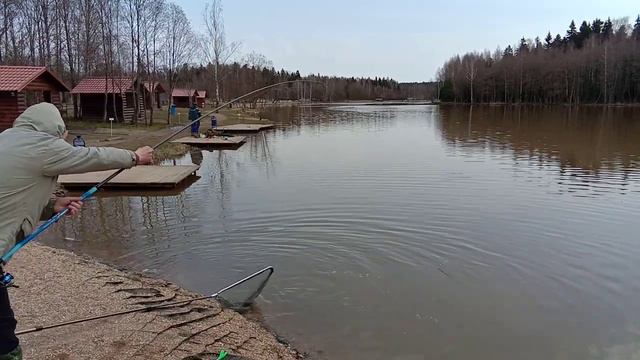 Форель, открытая вода смотреть онлайн