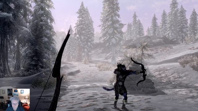 SkyrimAE Forester Freeman; Dragonborn Comes: #24 Traveling To Dawnstar смотреть онлайн