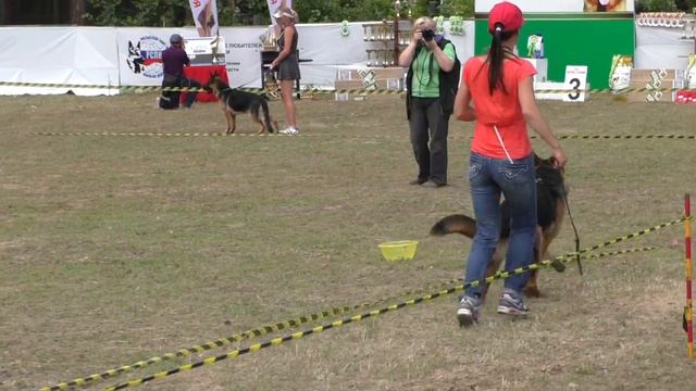 подростки кобели Томск -15 смотреть онлайн