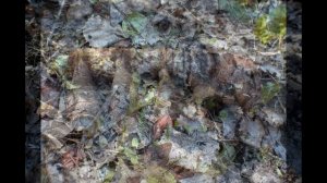 чёрные копатели, раскопки вов!