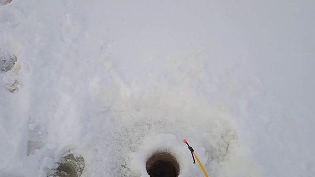 Еду на рыбалку на мотобуксировщике. смотреть онлайн