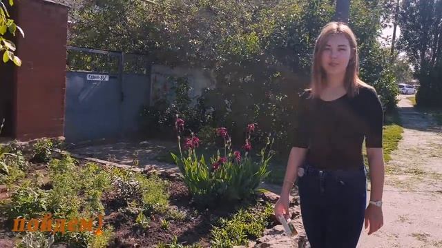 Нашли маму с котятами в подъезде (