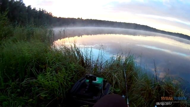 Ловля карася на хлеб. Рыбалка в августе с поплавочной удочкой! смотреть онлайн