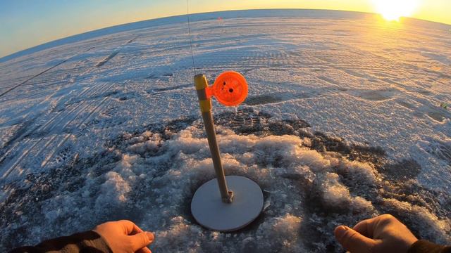 Первая щука на жерлицы этого сезона. Катравож. смотреть онлайн