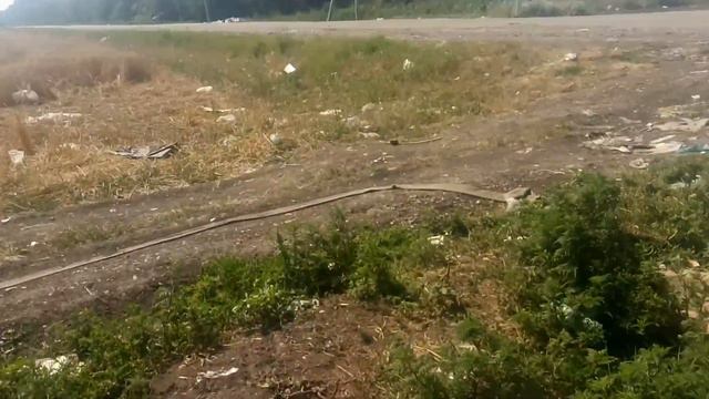 2 июля 2018 г что происходит на Свалке смотреть онлайн