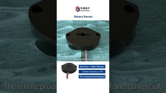 RG46 Hollow Waterproof Rotary Sensor